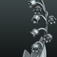 Lily of the valley - Thumbnail 7