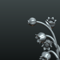 Lily of the valley - Thumbnail 8