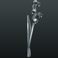 Lily of the valley - Thumbnail 12