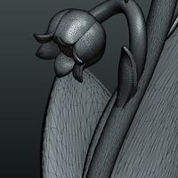 Lily of the valley - Thumbnail 16