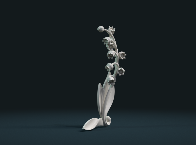Lily of the valley 3D Print 227789