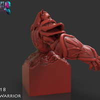 Cat Warrior - Thumbnail 6