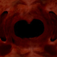 Dwayne Johnson's 3D model - Thumbnail 5