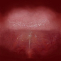 Dwayne Johnson's 3D model - Thumbnail 8