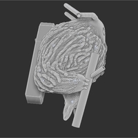 Druid-TeddyYakuza-BBsteps - Thumbnail 3