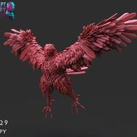 Harpy - Thumbnail 13