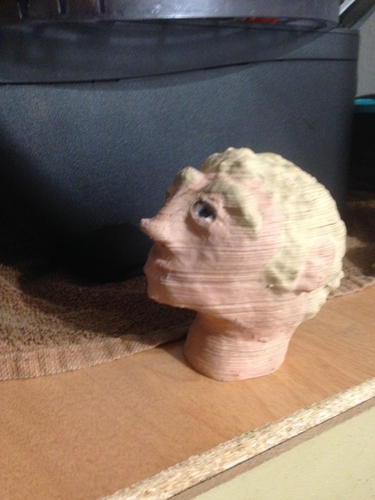 sculptured head 3D Print 228967