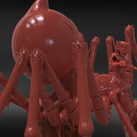 Black Widow - Thumbnail 11