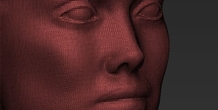 Image 229358
