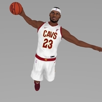 Lebron James ready for full color 3D printing - Thumbnail 2