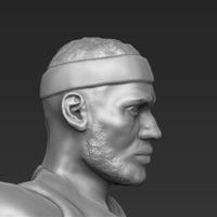 Lebron James ready for full color 3D printing - Thumbnail 15