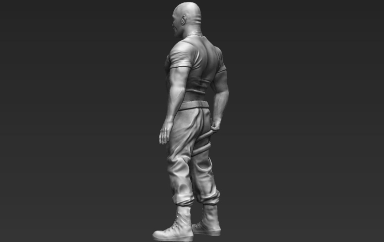 Dwayne The Rock Johnson Fast and Furious 3D printing ready  3D Print 229569