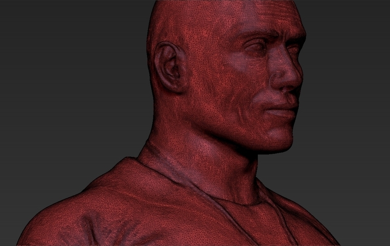 Dwayne The Rock Johnson Fast and Furious 3D printing ready  3D Print 229580
