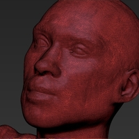 Kobe Bryant 3D printing ready stl obj - Thumbnail 12
