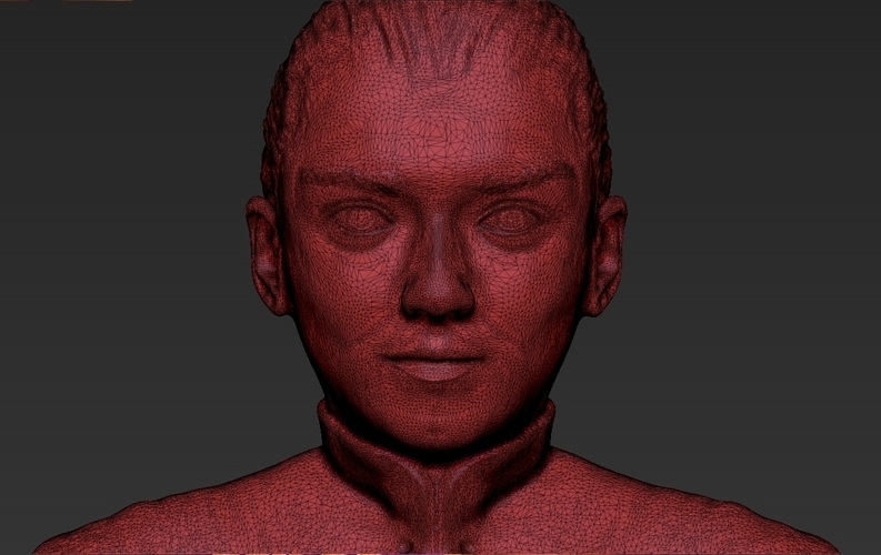 Arya Stark 3D printing ready stl obj 3D Print 229705