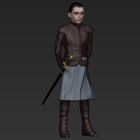 Arya Stark ready for full color 3D printing - Thumbnail 5