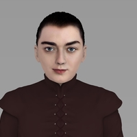 Arya Stark ready for full color 3D printing - Thumbnail 10