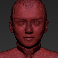 Arya Stark ready for full color 3D printing - Thumbnail 18