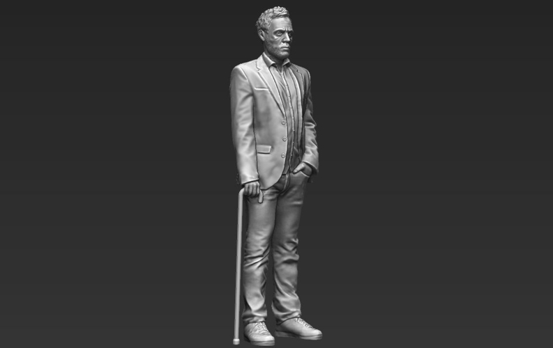 MD Gregory House 3D printing ready stl obj 3D Print 229740