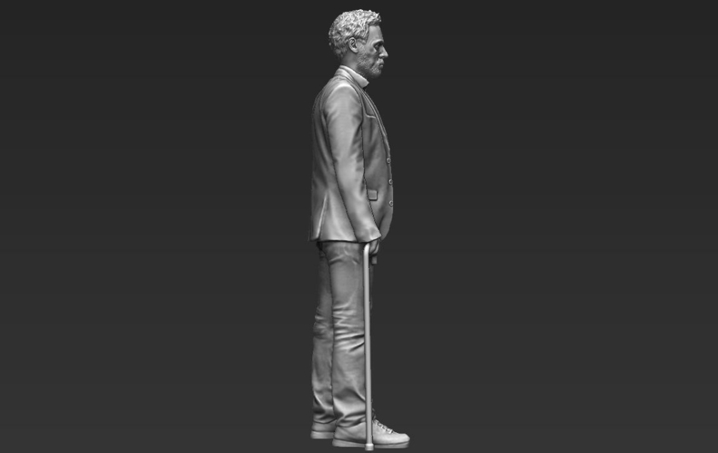 MD Gregory House 3D printing ready stl obj 3D Print 229741