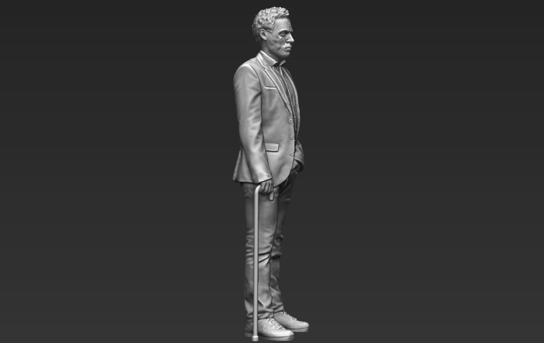 MD Gregory House 3D printing ready stl obj 3D Print 229742