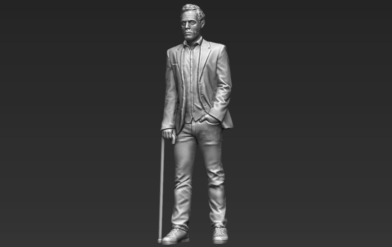 MD Gregory House 3D printing ready stl obj 3D Print 229744