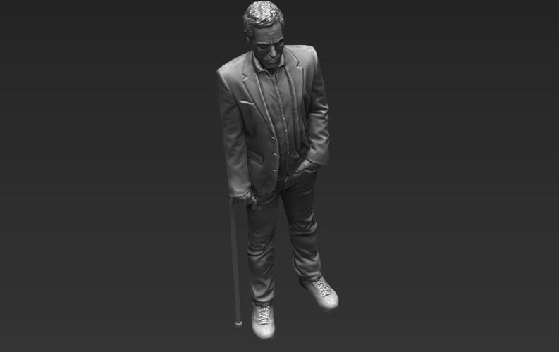 MD Gregory House 3D printing ready stl obj 3D Print 229745