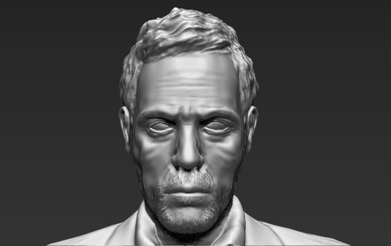 MD Gregory House 3D printing ready stl obj 3D Print 229748