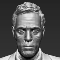 MD Gregory House 3D printing ready stl obj - Thumbnail 10