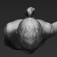 Shakira 3D printing ready stl obj - Thumbnail 13