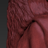 Gandalf the Lord of the Rings Hobbit 3D printing ready stl obj - Thumbnail 14