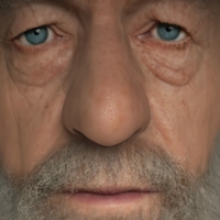 Gandalf the Lord of the Rings Hobbit full color 3D printing - Thumbnail 11