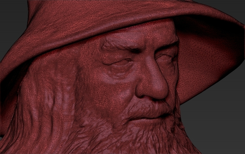 Gandalf the Lord of the Rings Hobbit full color 3D printing 3D Print 229933