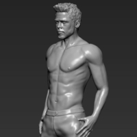 Tyler Durden Brad Pitt from Fight Club 3D printing ready - Thumbnail 4