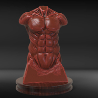 Male Torso Sculpture - Thumbnail 1