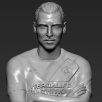 Zlatan Ibrahimovic LA Galaxy 3D printing ready stl obj - Thumbnail 3