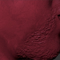 Shaq ONeal bust 3D printing ready stl obj - Thumbnail 14