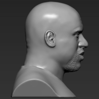 Shaq ONeal bust ready for full color 3D printing - Thumbnail 19