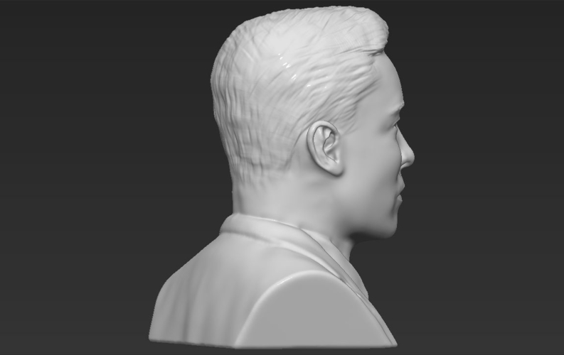 Elon Musk bust 3D printing ready obj stl 3D Print 230546