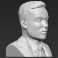 Elon Musk bust 3D printing ready obj stl - Thumbnail 7