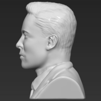 Elon Musk bust 3D printing ready obj stl - Thumbnail 8