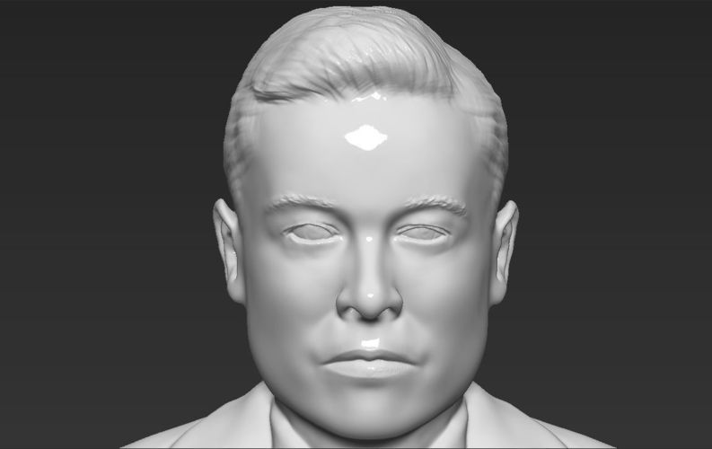 Elon Musk bust 3D printing ready obj stl 3D Print 230549