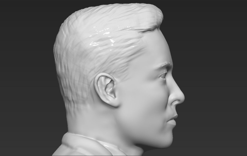 Elon Musk bust 3D printing ready obj stl 3D Print 230550