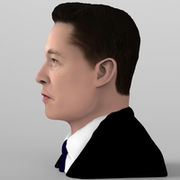 Elon Musk bust ready for full color 3D printing - Thumbnail 5