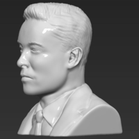 Elon Musk bust ready for full color 3D printing - Thumbnail 13