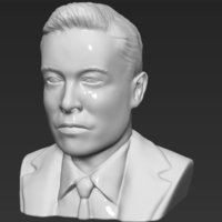 Elon Musk bust ready for full color 3D printing - Thumbnail 14