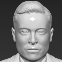 Elon Musk bust ready for full color 3D printing - Thumbnail 17