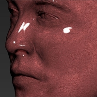 Elon Musk bust ready for full color 3D printing - Thumbnail 21