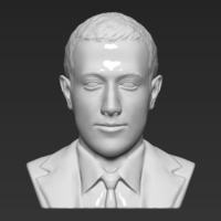 Small Mark Zuckerberg bust 3D printing ready obj stl 3D Printing 230601