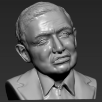 Stephen Hawking 3D printing ready stl obj - Thumbnail 2